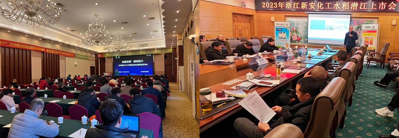 1679471014330367fDdN.jpg 1679471014330367fDdN.jpg