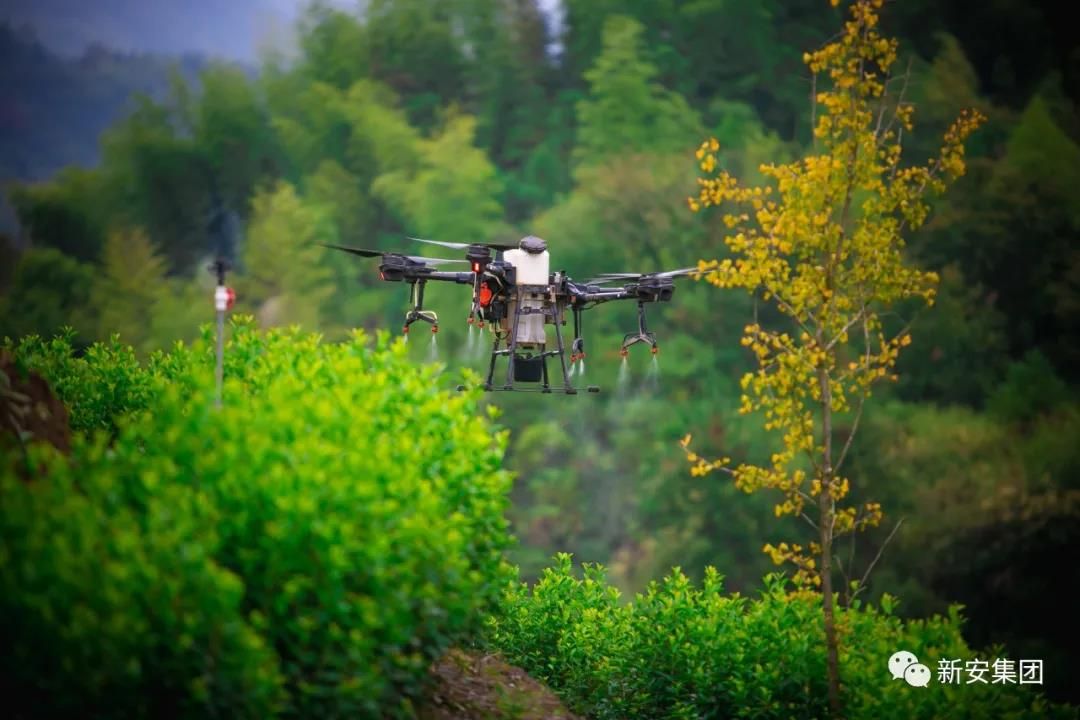 1602054095352433wNkh.jpg 1602054095352433wNkh.jpg