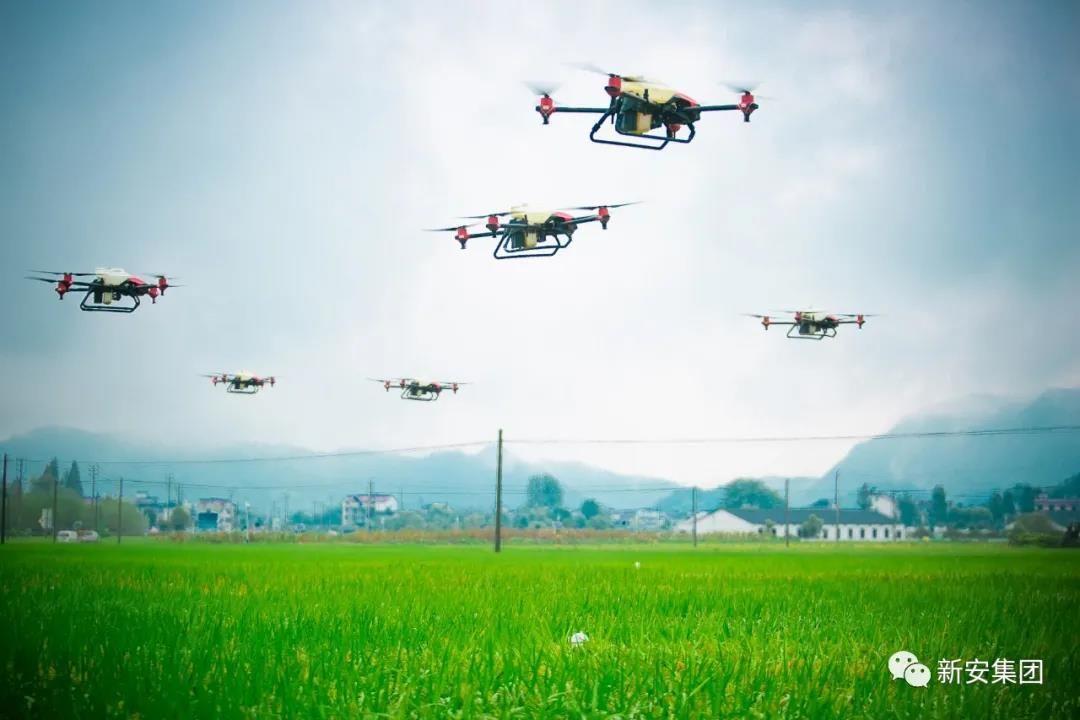 1602054354337844MG15.jpg 1602054354337844MG15.jpg